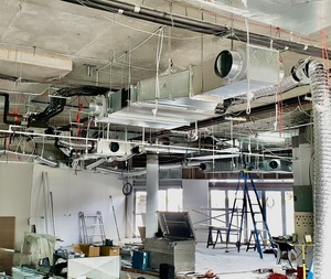 Gallery image 19